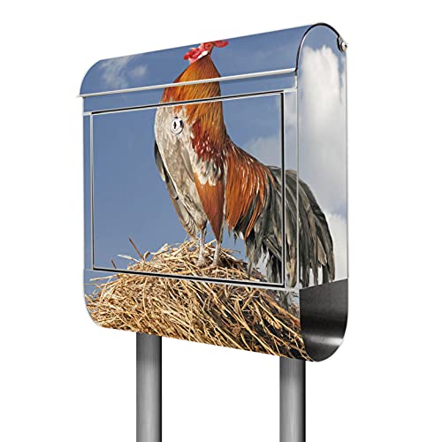 banjado® Standbriefkasten Edelstahl mit Zeitungsfach Motiv Hahn / Briefkasten mit Standfuß / Edelstahl Briefkasten freistehend - A4 Einwurf inkl. 2 Schlüssel