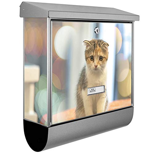 banjado® Burgwächter Briefkasten Edelstahl 38x39x12cm mit Motiv Kleine Katze/Briefkasten Edelstahl ohne Zeitungsfach/Briefkasten grau/Postkasten inkl. Montagematerial & 2 Schlüsseln